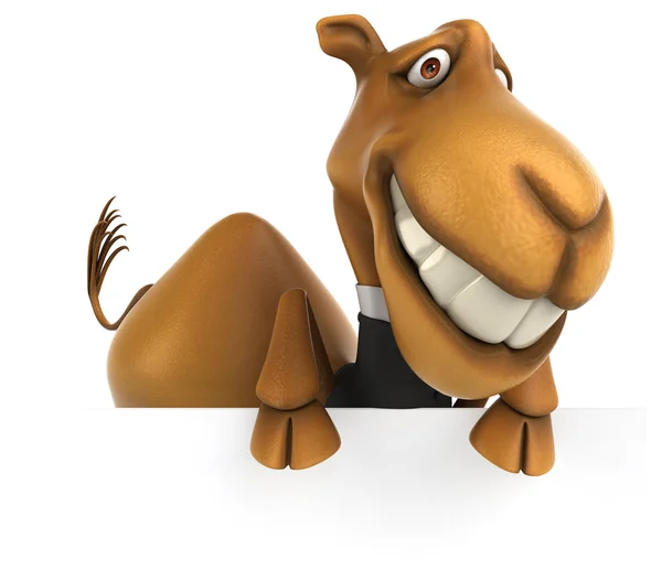 Fun camel in suit — Stock Photo, Image