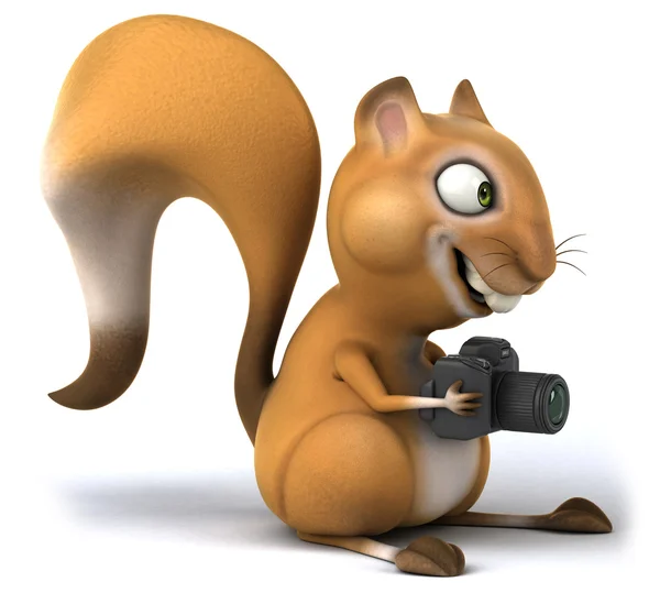Esquilo divertido com câmera — Fotografia de Stock