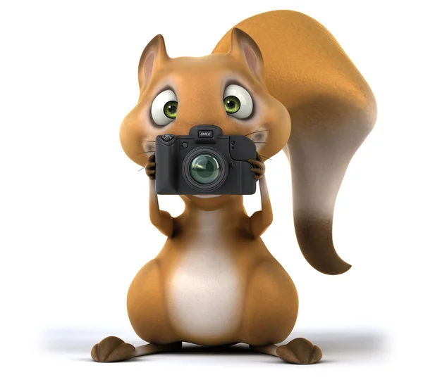 Wiewiórka zabawy z aparatem — Zdjęcie stockowe