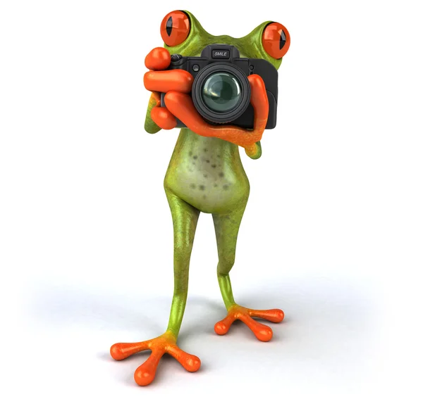 好玩与照相机的青蛙 — 图库照片