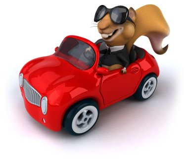 Arabada eğlenceli sincap