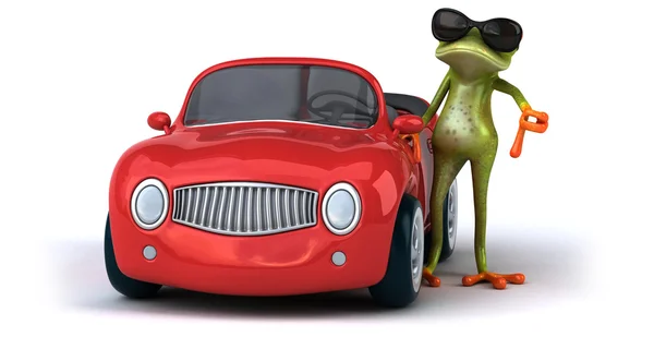 Fun frog at car — Stock fotografie