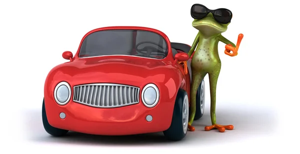 Fun frog at car — Stock fotografie