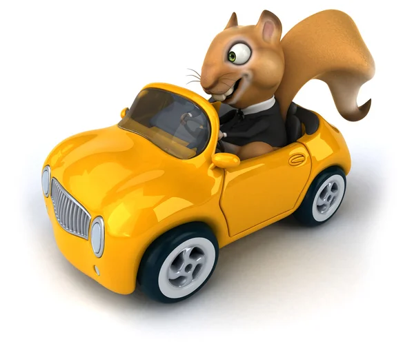 Esquilo divertido em um carro — Fotografia de Stock