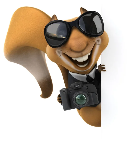 Fun squirrel with camera — Stock Photo, Image