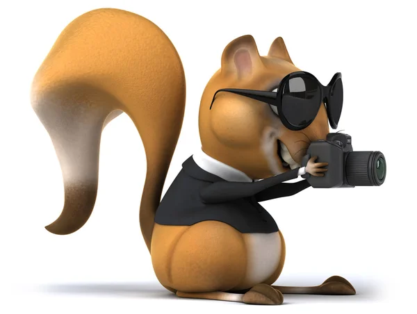 Fun squirrel with camera — Stock Photo, Image