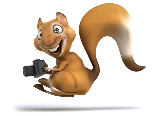 Fun squirrel with camera — Stock Photo, Image