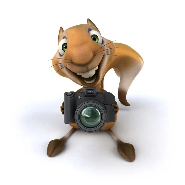 Fun squirrel with camera Stock Picture