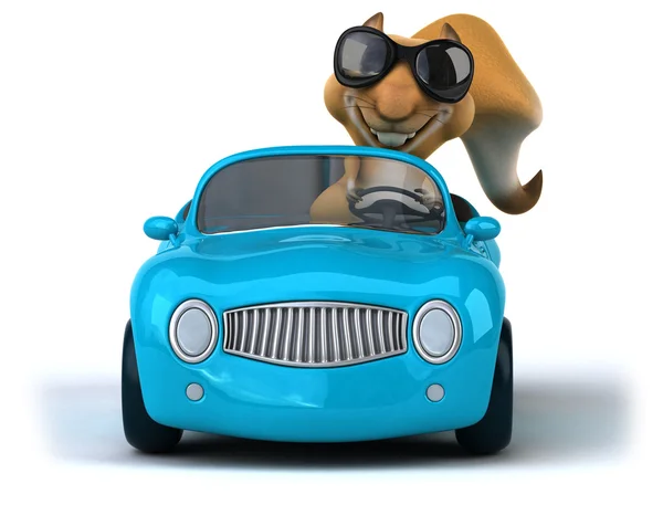 차에 재미 다람쥐 — 스톡 사진
