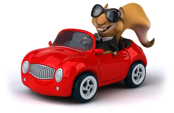 Leuk eekhoorn in een auto — Stockfoto