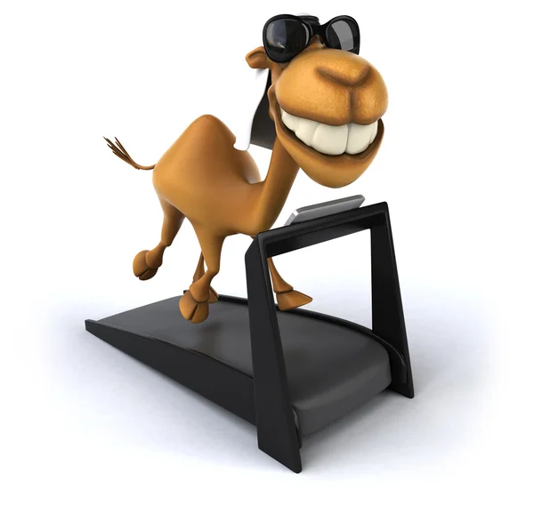 Caricatura de camello fotos de stock, imágenes de Caricatura de camello sin  royalties | Depositphotos
