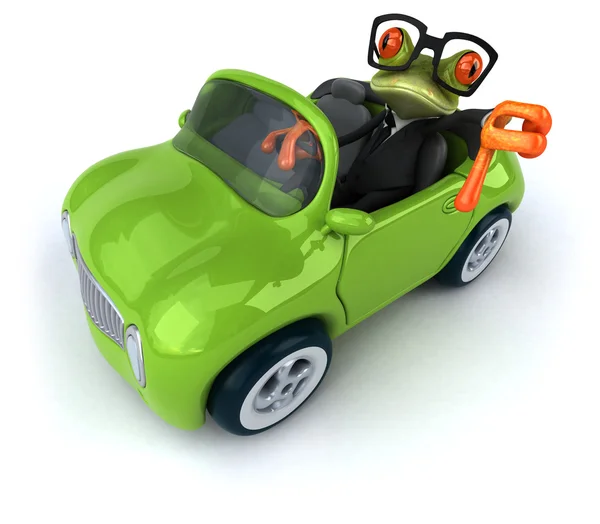 Leuk kikker in auto — Stockfoto