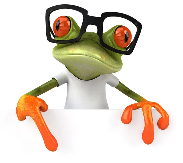 Frog with a white t shirt — Stock Photo, Image