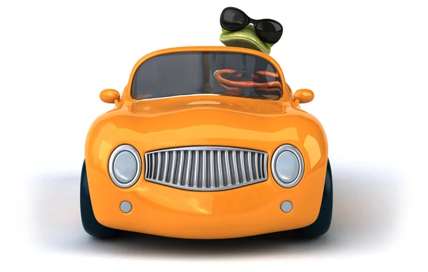 Fun frog in car — Stock Photo, Image