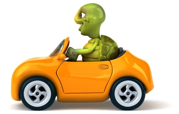 Tartaruga divertida no carro — Fotografia de Stock