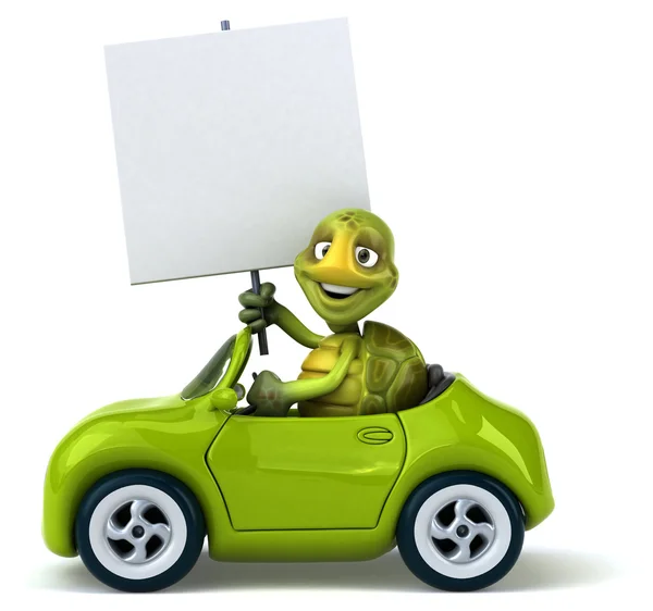 Arabada eğlenceli kaplumbağa — Stok fotoğraf