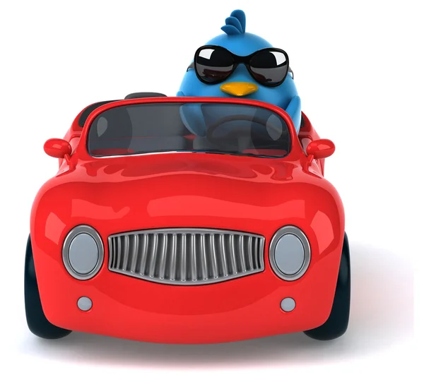 Pássaro azul em um carro — Fotografia de Stock