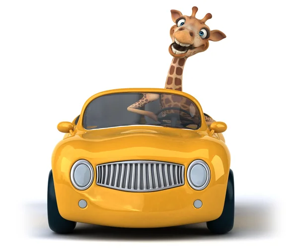 Girafa divertida em um carro — Fotografia de Stock