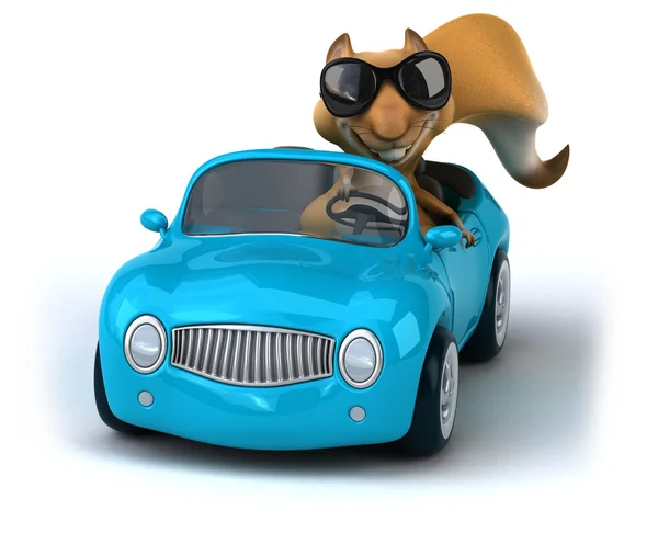 Fun squirrel in a car — Stock Photo, Image