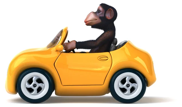 Macaco divertido em um carro — Fotografia de Stock
