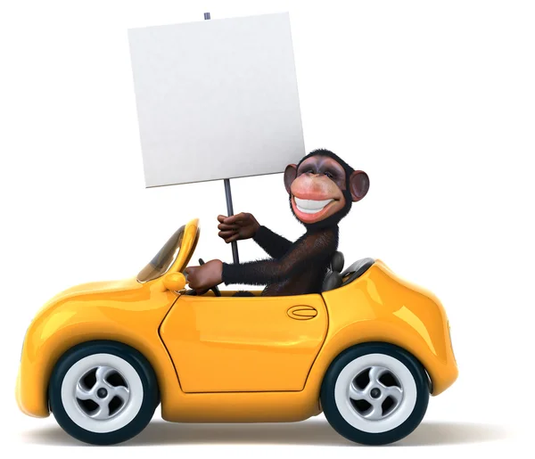 Fun monkey in a car — Stock Photo, Image