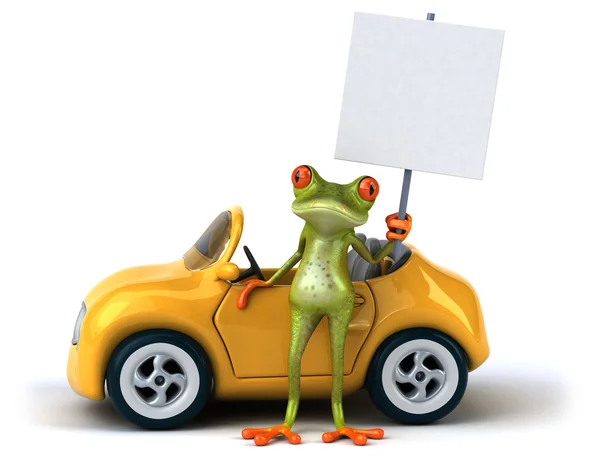 Grenouille et voiture amusantes — Photo