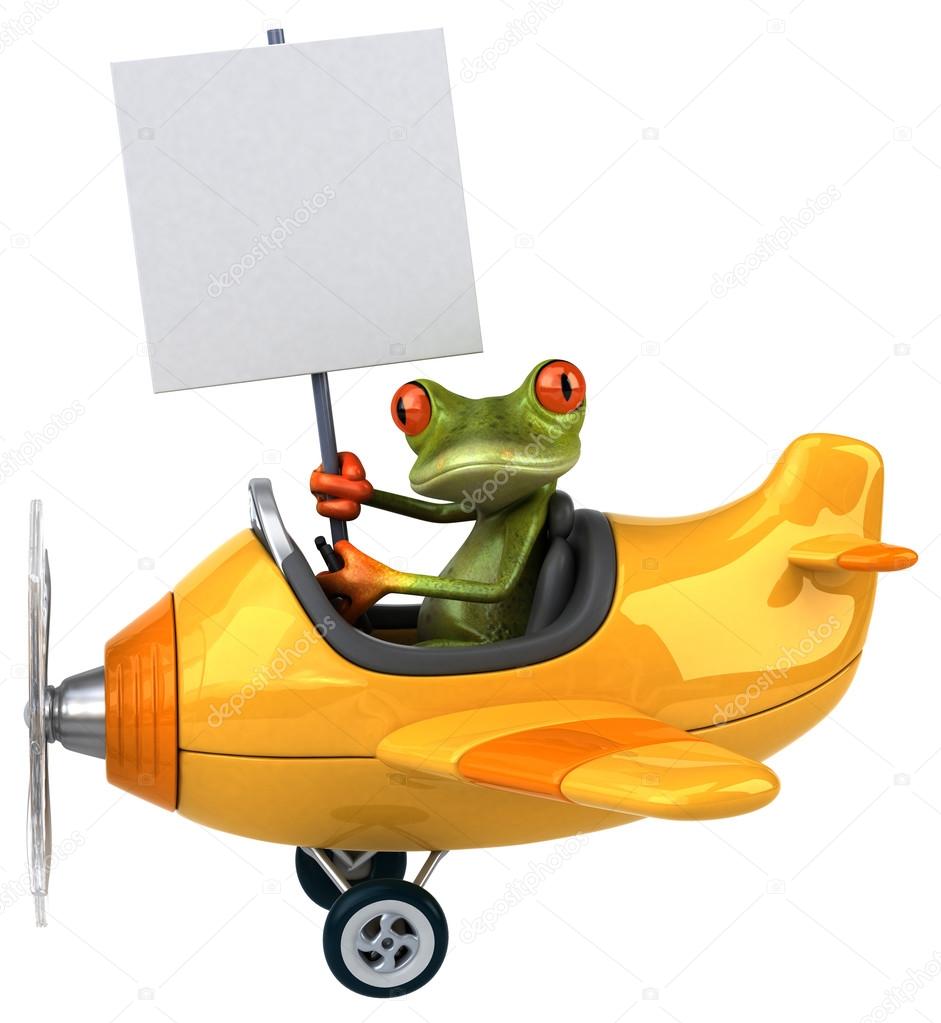Fun frog in plane