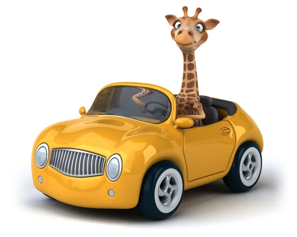 Веселый жираф в машине — стоковое фото