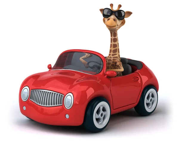 Girafa divertida em um carro — Fotografia de Stock