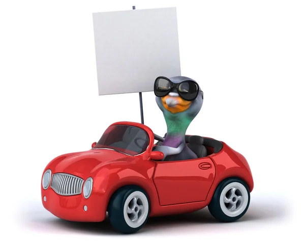 Pigeon amusant dans une voiture — Photo