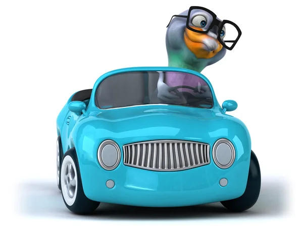 Веселый голубь в машине — стоковое фото