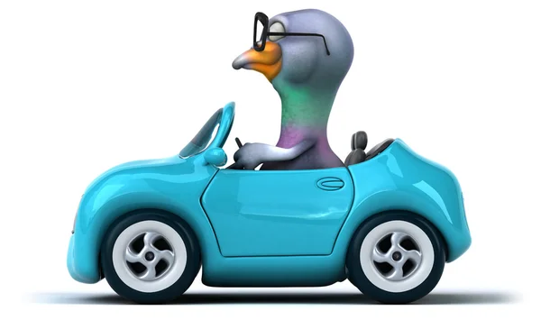 Pigeon amusant dans une voiture — Photo