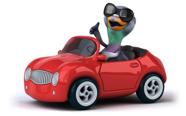 Pigeon amusant dans une voiture — Photo