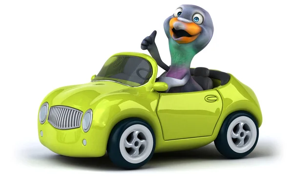 Веселый голубь в машине — стоковое фото