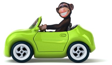 Pano eğlenceli maymunla