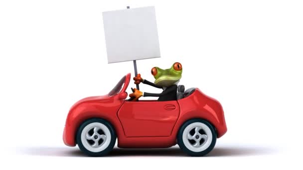 Fun frog in car — Stock Video