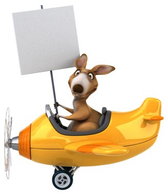 Uçaktaki eğlenceli kanguru