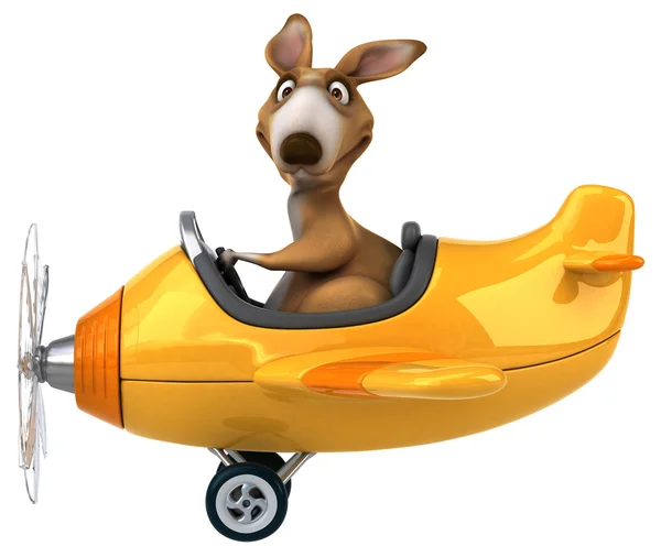 A repülőgép szórakoztató kenguru — Stock Fotó