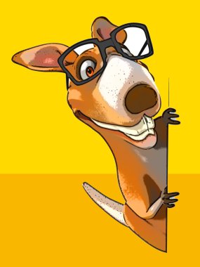 Eğlenceli çizgi film kanguru