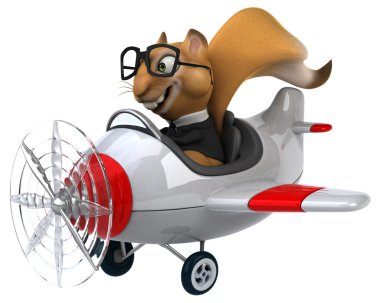 Uçak içinde komik sincap