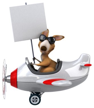 Uçak içinde komik kanguru