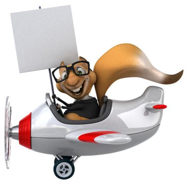 Uçak içinde komik sincap