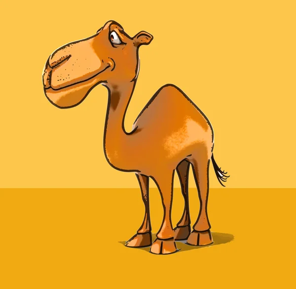 Fun cartoon camel — Stock Photo, Image