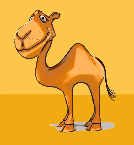 Fun cartoon camel — Stock Photo, Image