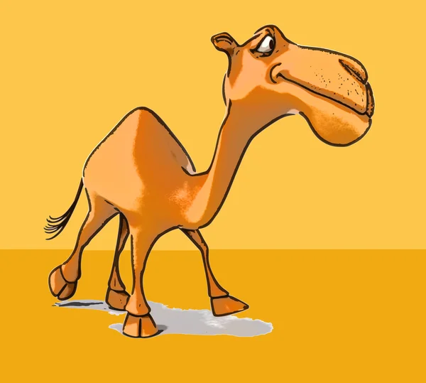 Funny cartoon camel — Stock Photo, Image