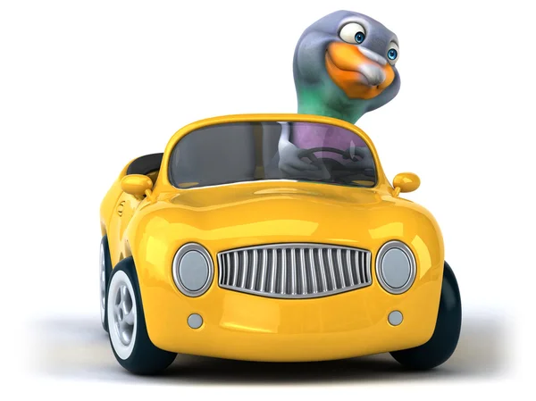 Divertida paloma de dibujos animados en coche —  Fotos de Stock