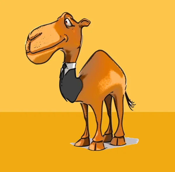 Fun cartoon camel — Stock Photo, Image