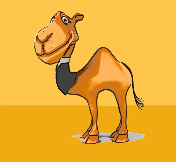 Fun cartoon camel — Stock Photo, Image