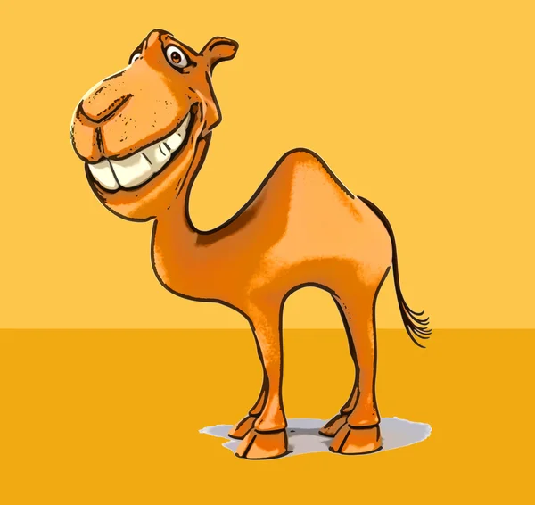 Divertido camelo dos desenhos animados — Fotografia de Stock