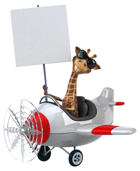 Смешной жираф в самолёте — стоковое фото